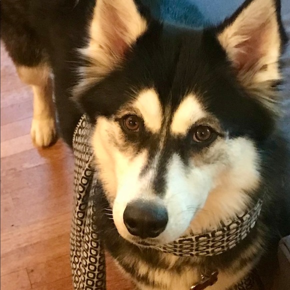 Meet your Posher, Katherine - Picture 1 of 1